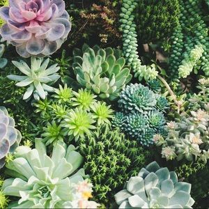 Meet your Posher, Kamryn